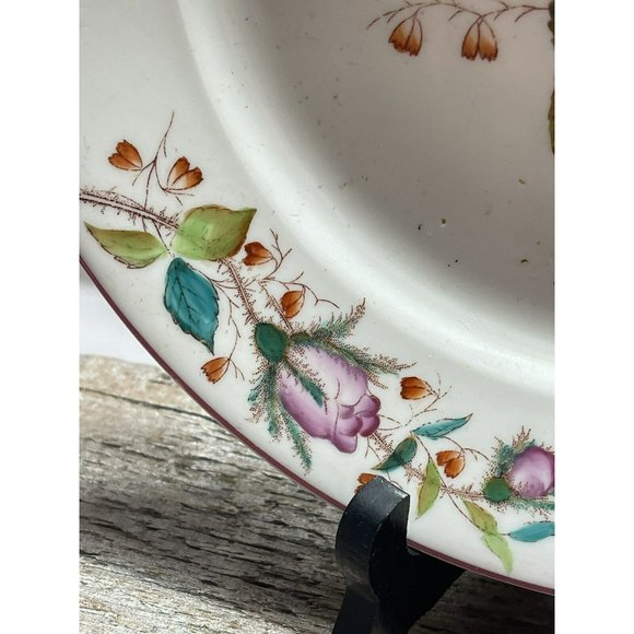 Moss Rose Ironstone 1890 - 1920 DINNER PLATE Beautiful Cottagecore Piece - Picture 6 of 12